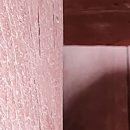 통도사휴게소 | 통도사 우담바라 후기 매화꽃 3월 1일 방문 후기