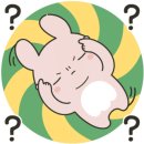 모던플로라