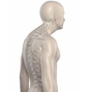 거북헬스 이미지