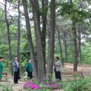 뿌리공원 이미지