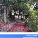 우리강산여행사 이미지