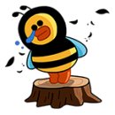 천연화장품 스와니코코