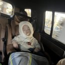 매남천 | 짐보리 해운대남천센터 14개월 아기 겨울학기 수업후기