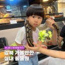 강북 아기랑 갈만한곳 쥬니버스 실내동물원에서 먹이체험