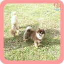 복덩이 건강센터 이미지