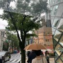 [일본여행] sou sou 소우소우 교토 아오야마점 방문 + Tax Free 받아서 알뜰하게 구매한 후기 🫶