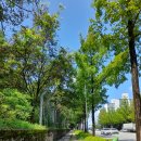 혁신도시 배울로 이미지