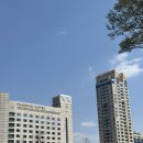 [강원도 여행] 비수기에 즐기는 휘닉스평창 리조트 1탄 :: 블루동 스카이로얄 21층 마운틴뷰, 객실 구조