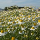 금현농장 이미지