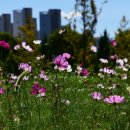 (주)정도 이미지