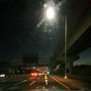 백양대로 이미지