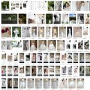 아벨(A bel) 헤어 | 아벨바이케이 촬영드레스 모음 촬영가봉 후기 시안 나눔