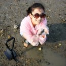 해오름관광농원 이미지