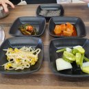 갤러리와양푼이 이미지