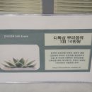 디보쉬헤어 이미지