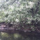 두밀리낚시터 이미지