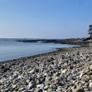 만미식당 | [겨울 제주도 보름 살기] 11-12일차 여행 / 카페루시아, 약천사, 주상절리대, 원앤온리, 사계해변