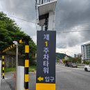 봉평진메밀막국수곤드레나물밥 | 정선 민둥산 맛집 정선메밀촌막국수