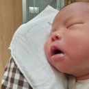 조리원 둥이일기 : 멘붕의 모자동실 / 아인산후조리원