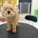 오늘의개스트 이미지