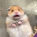 서래수산 | [일기] 이 별이 맘에 들어