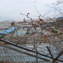 한국수자원공사(수지정수장)