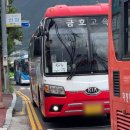 마켓컬리 | 창원 마켓컬리 알바 후기 및 정보 식사 통근버스