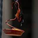 단디프라자 | 소리 안 들리면 세상이 멈춘 느낌 그래서 맘 단디 먹고 다녀왔어요