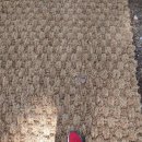 새신바람 이미지