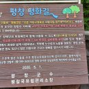 효석문학100리길 제5-2구간 이미지