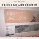 블로그 스터디 봄블로디 9기 건강한 성장과 정체성 확립 후기