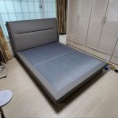 대명디자인소노시즌