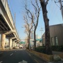 도루코주유소 이미지