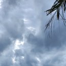 글라스빌리지 이미지