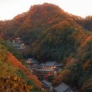 장안로 L 이미지