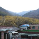 산수유민박 이미지