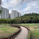 초록공원 농구장 | 나주 가볼만한 곳 대호수변공원 / 물멍 맨발길 바닥분수 어린이공원 강아지 산책