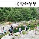 덕풍계곡솔밭야영장 이미지