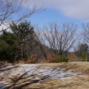 남구-006 이미지