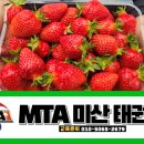 정암태권도장 이미지