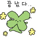 시온투어주 이미지