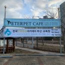 피터펫카페본점 이미지