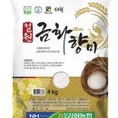 금화몰 네이버블로그