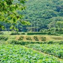 부산시설공단 곰내지소 이미지