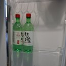 퍼피79 | 태안애견펜션 퍼피79펜션 다녀온후기