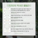 호텔 밀하우스 | [전세계 최초 여행 공구] 발리 숙소 우붓 프라이빗 럭셔리 풀빌라 밀리웨이 (리조트&amp;호텔 아님)