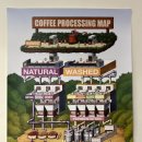 sandstone coffee lab 이미지