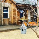 매리앤스가든민박 이미지