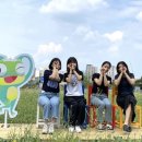 유채꽃길 이미지