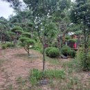 안식공원 | 경기도 추모공원 선택가이드 장례문화원이 전하는 품격 있는 안식 준비법